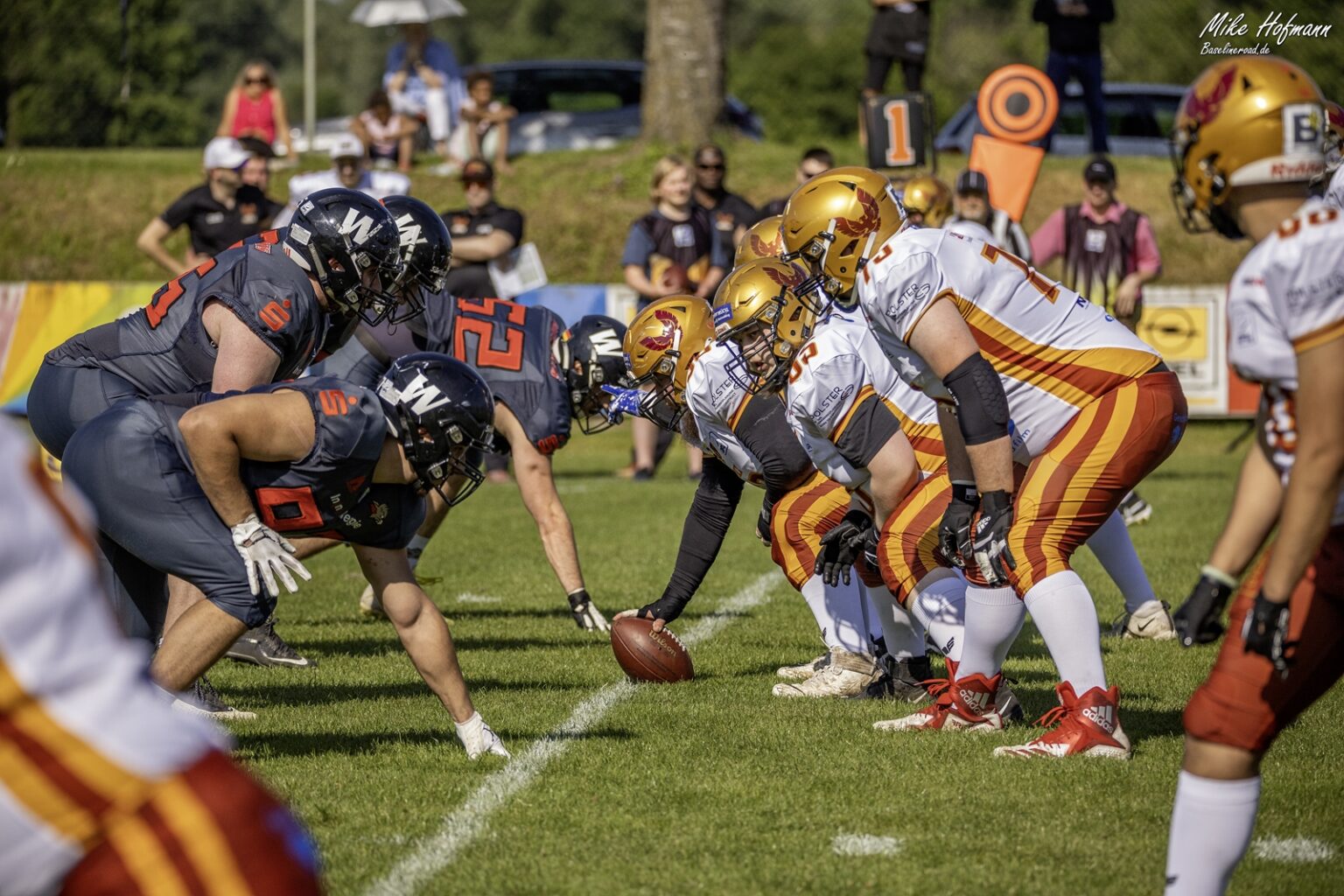 American Football Regensburg Phoenix